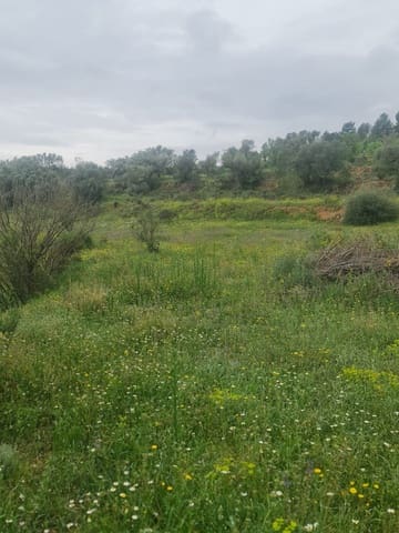 Finca/Landehus til salg i Móra d'Ebre - € 38.000 (Ref: 8947421)