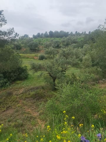 Finka/Dom wiejski na sprzedaż w Móra d'Ebre - 38 000 € (Ref: 8947421)