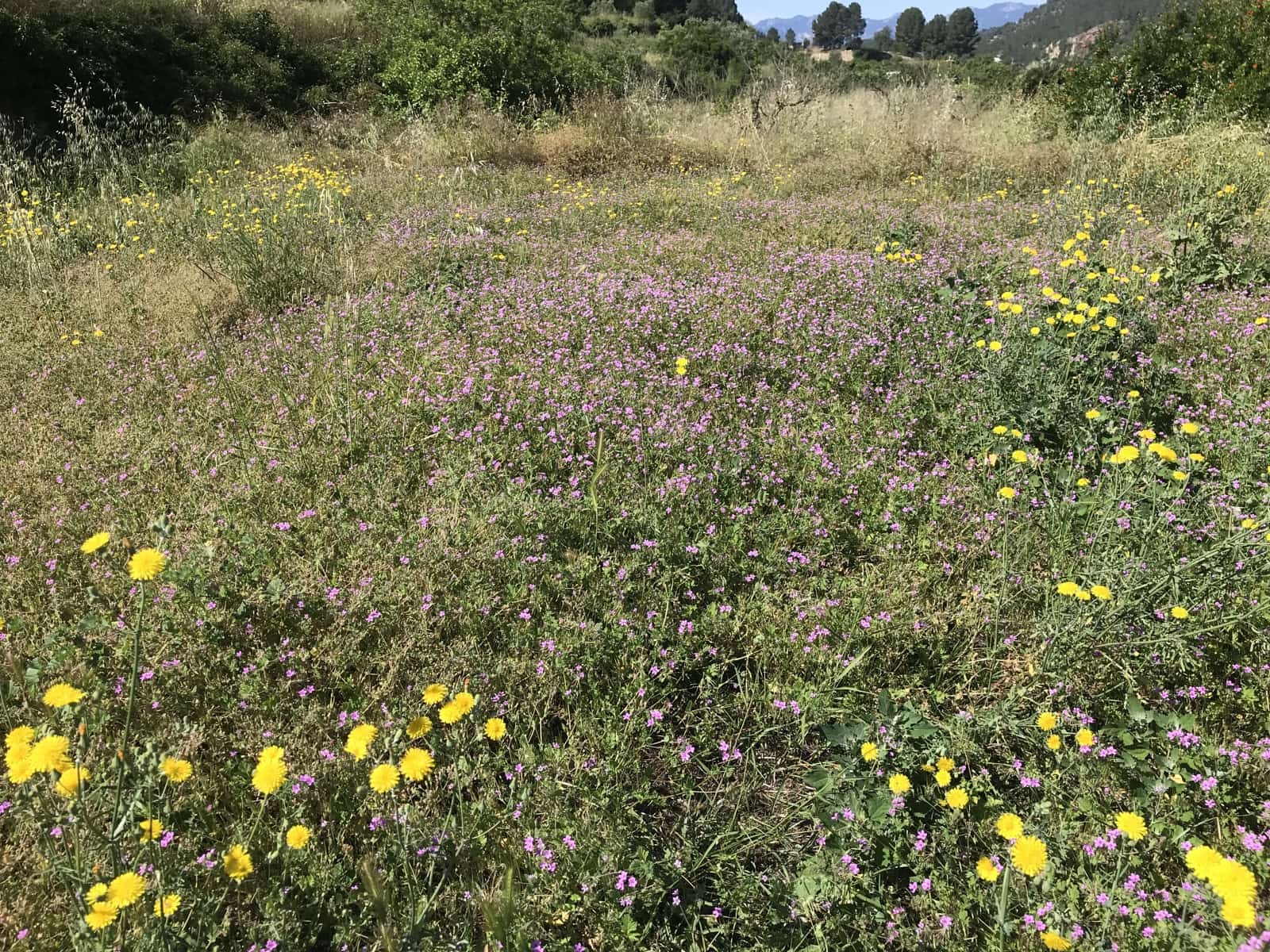 1 soveværelse Finca/Landehus til salg i Ginestar - € 79.000 (Ref: 9009993)