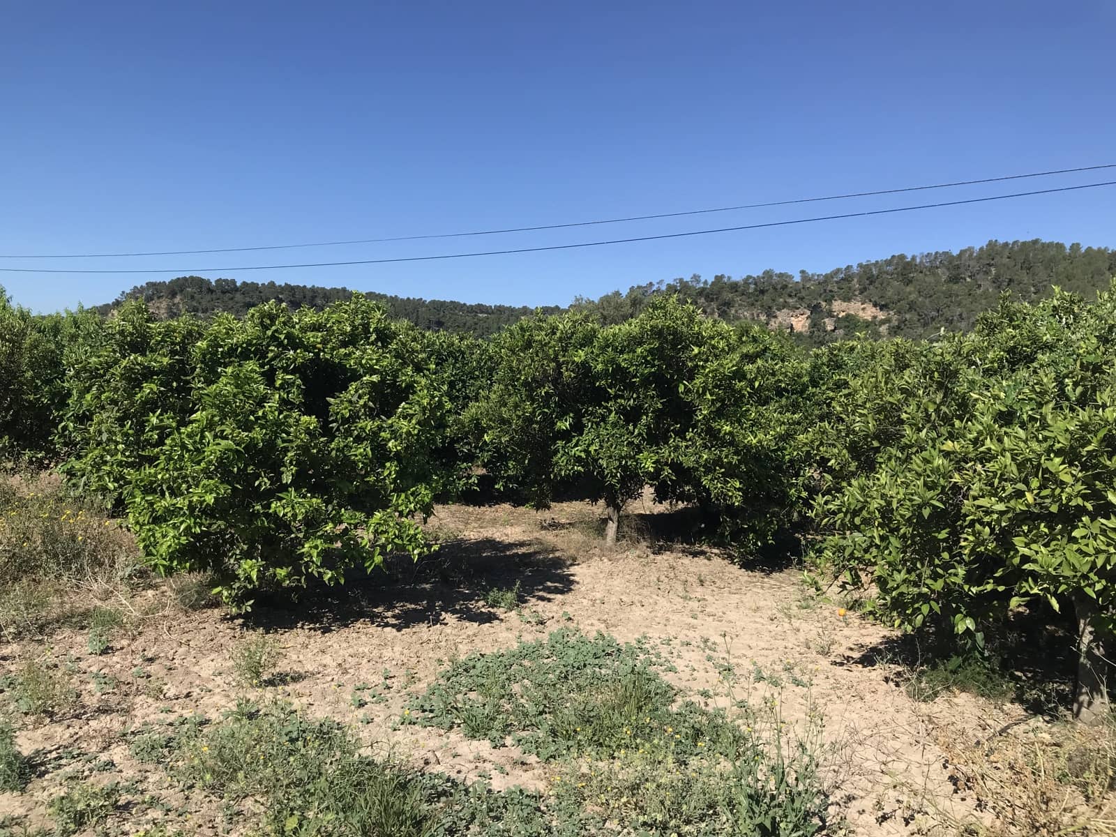 Finca/Landehus til salg i Benifallet - € 45.000 (Ref: 9016599)