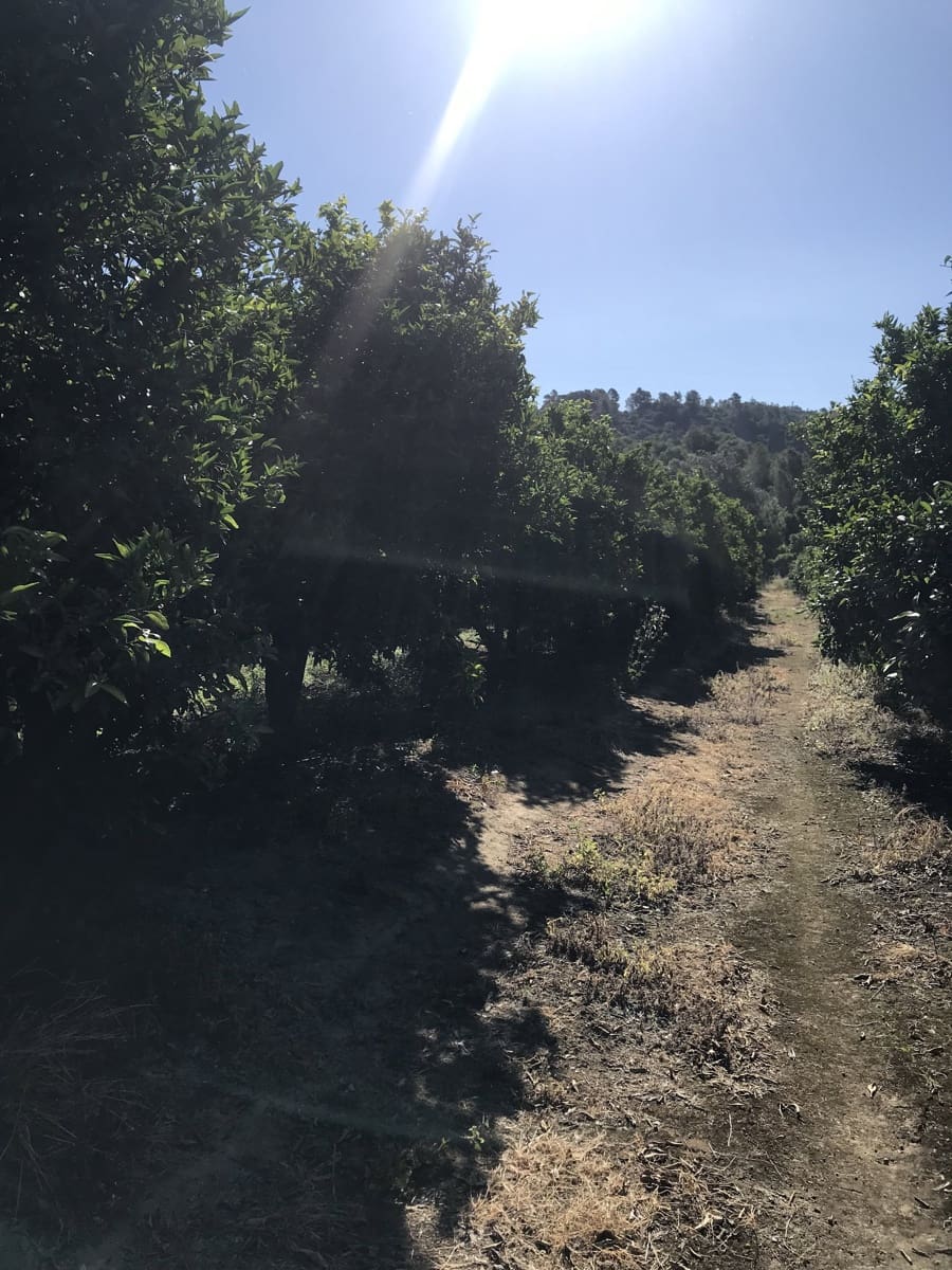 Finca/Casa Rural en Benifallet en venta - 45.000 € (Ref: 9016599)