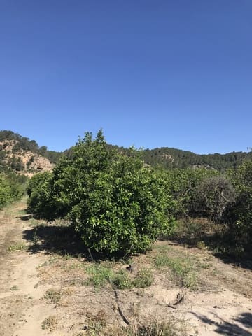 Finca/Herregård til salgs i Benifallet - € 45 000 (Ref: 9016599)