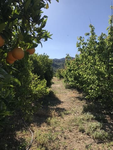 Finca/Herregård til salgs i Benifallet - € 45 000 (Ref: 9016599)