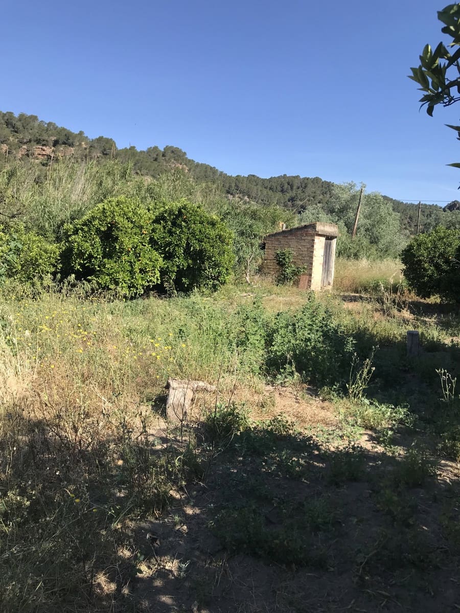 Finca/Casa Rural en Benifallet en venta - 45.000 € (Ref: 9016599)
