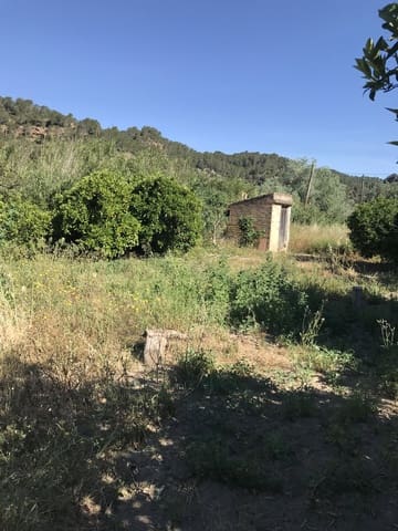Finca/Herregård til salgs i Benifallet - € 45 000 (Ref: 9016599)
