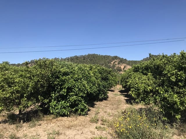 Finca/Herregård til salgs i Benifallet - € 45 000 (Ref: 9016599)