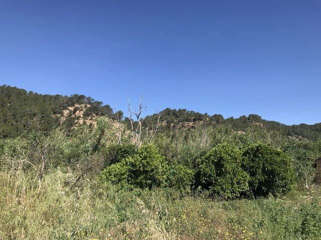 Finca/Herregård til salgs i Benifallet - € 45 000 (Ref: 9016599)