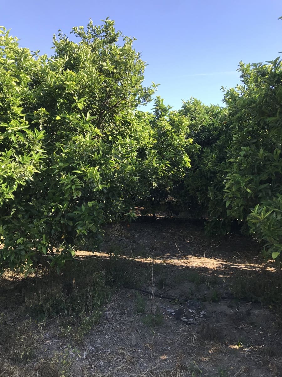 Finca/Casa Rural en Benifallet en venta - 45.000 € (Ref: 9016599)