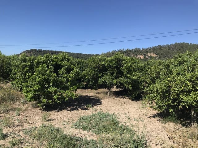 Finca/Herregård til salgs i Benifallet - € 45 000 (Ref: 9016599)