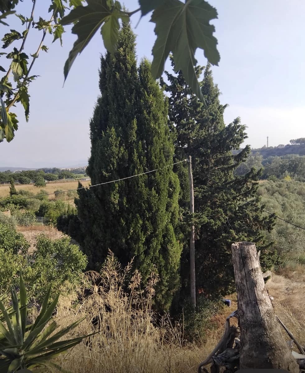 Finca/Landehus til salg i Mora la Nova - € 70.000 (Ref: 9111658)