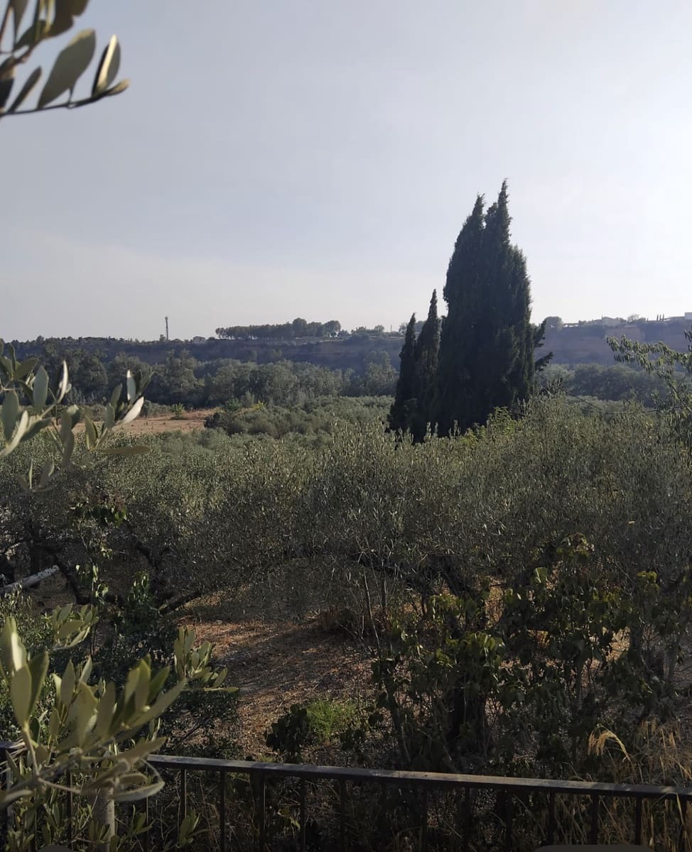 Finca/Landehus til salg i Mora la Nova - € 70.000 (Ref: 9111658)