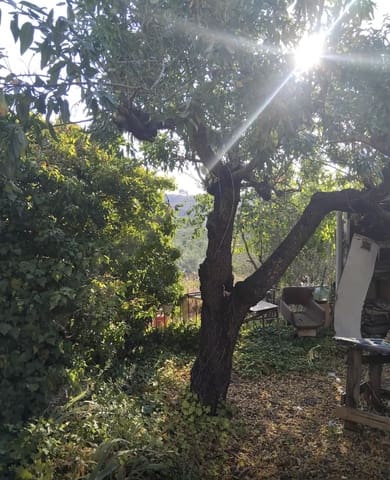 Finca/Landehus til salg i Móra la Nova - € 70.000 (Ref: 9111658)