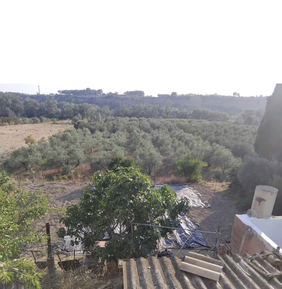 Finca/Casa Rural en Móra la Nova en venta con garaje - 70.000 € (Ref: 9111658)