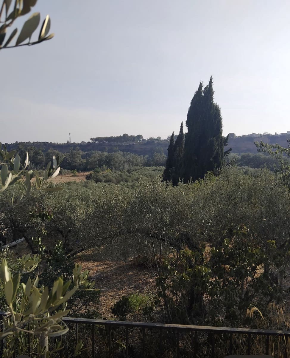 Finca/Casa Rural en Móra la Nova en venta con garaje - 70.000 € (Ref: 9111658)