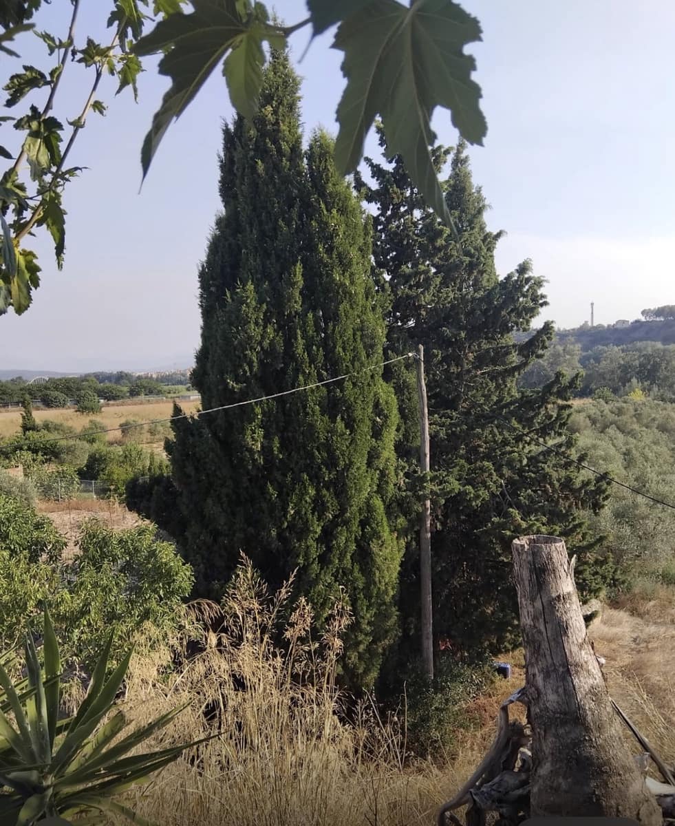 Finca/Casa Rural en Móra la Nova en venta con garaje - 70.000 € (Ref: 9111658)