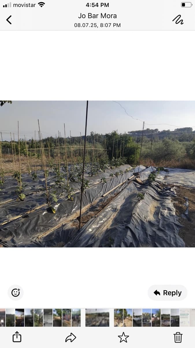 Finca/Casa Rural en Móra la Nova en venta con garaje - 70.000 € (Ref: 9111658)