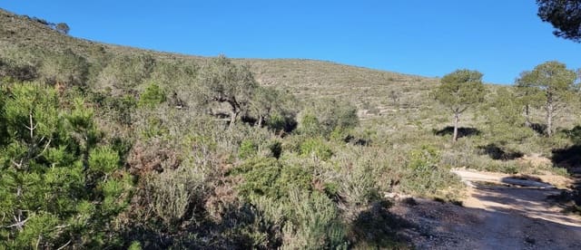 1 soveværelse Finca/Landehus til salg i Rasquera - € 18.000 (Ref: 9138784)