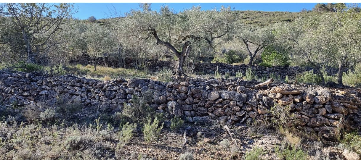 1 soveværelse Finca/Landehus til salg i Rasquera - € 18.000 (Ref: 9138784)