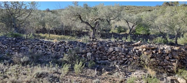 1 soveværelse Finca/Landehus til salg i Rasquera - € 18.000 (Ref: 9138784)