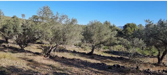 1 soveværelse Finca/Landehus til salg i Rasquera - € 15.000 (Ref: 9138784)