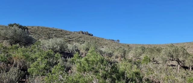 1 soveværelse Finca/Landehus til salg i Rasquera - € 15.000 (Ref: 9138784)