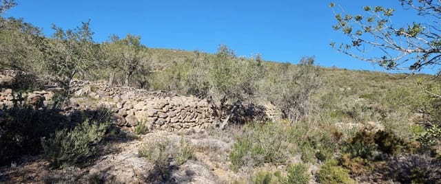 1 soveværelse Finca/Landehus til salg i Rasquera - € 15.000 (Ref: 9138784)