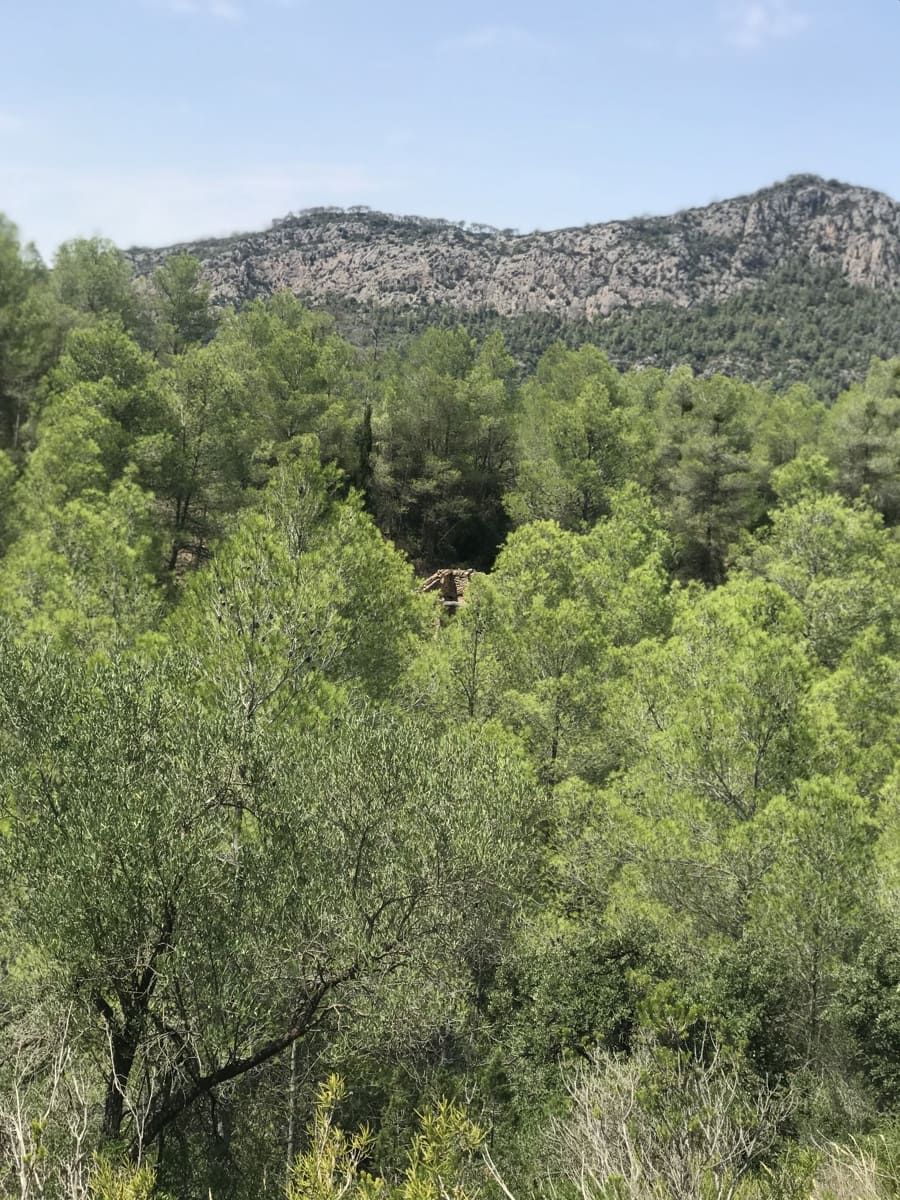 Finca/Landehus til salg i Benifallet - € 20.000 (Ref: 9154705)