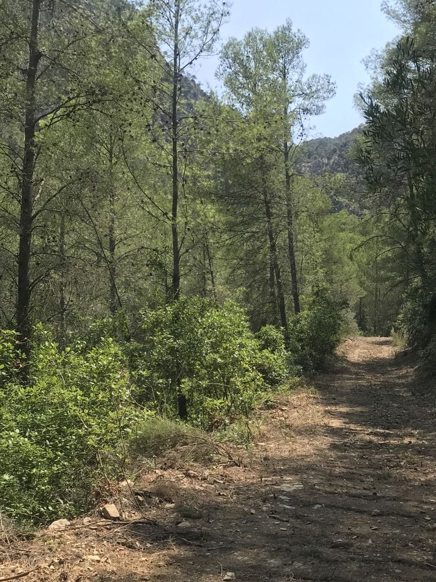 Finca/Landehus til salg i Benifallet - € 20.000 (Ref: 9154705)