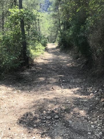 Finca/Landehus til salg i Benifallet - € 20.000 (Ref: 9154705)