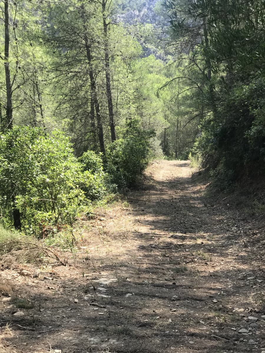 Finca/Landehus til salg i Benifallet - € 20.000 (Ref: 9154705)