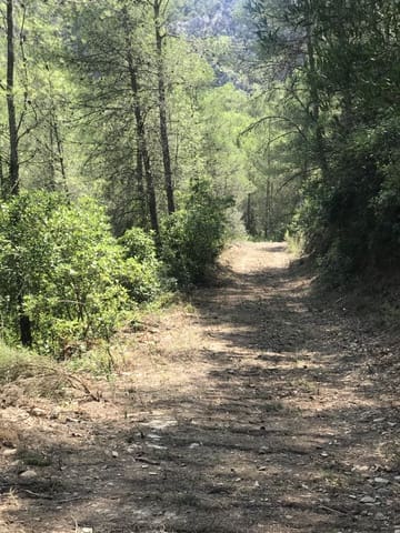 Finca/Landehus til salg i Benifallet - € 20.000 (Ref: 9154705)