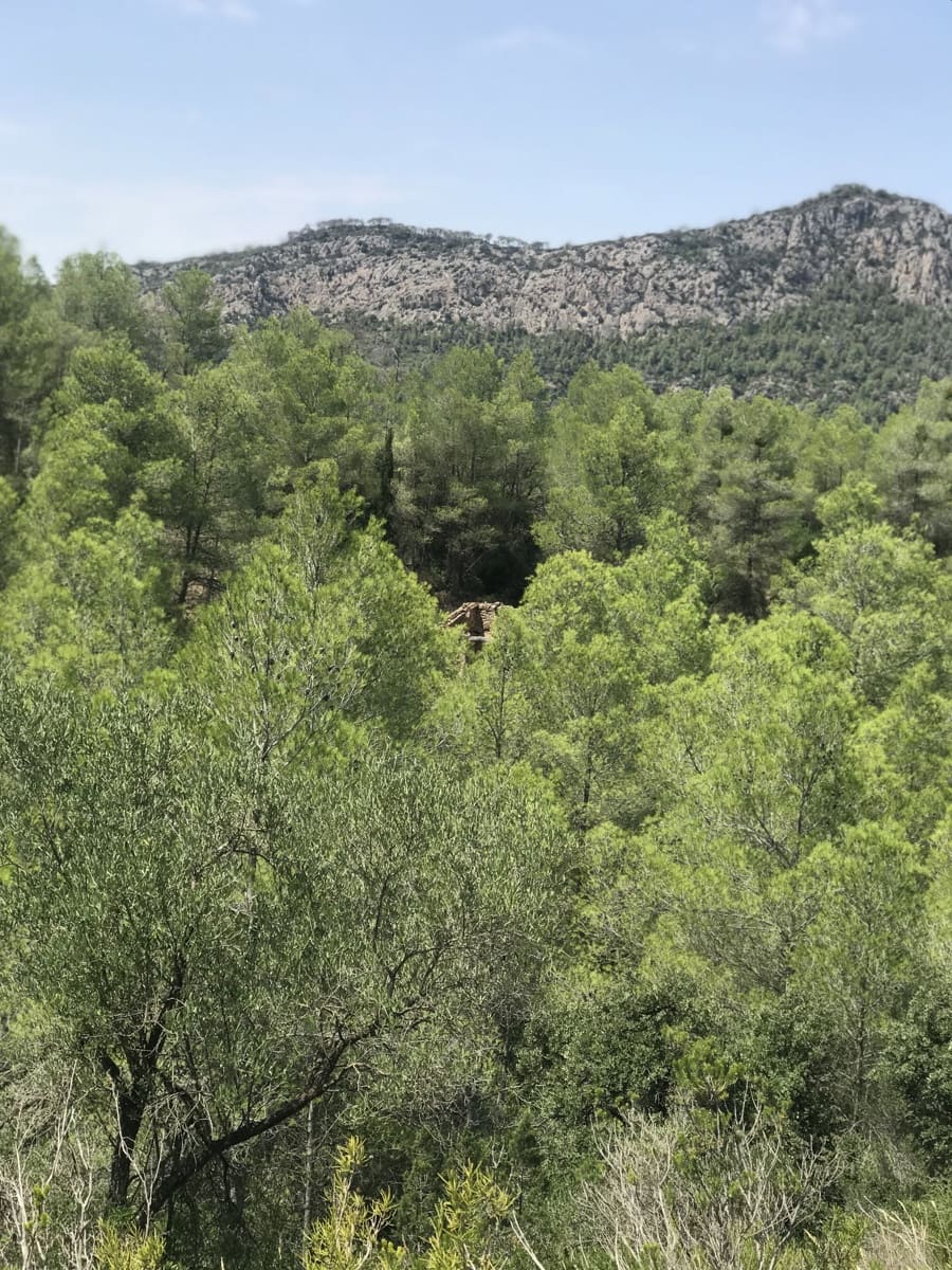 Finca/Casa Rural en Benifallet en venta - 20.000 € (Ref: 9154705)