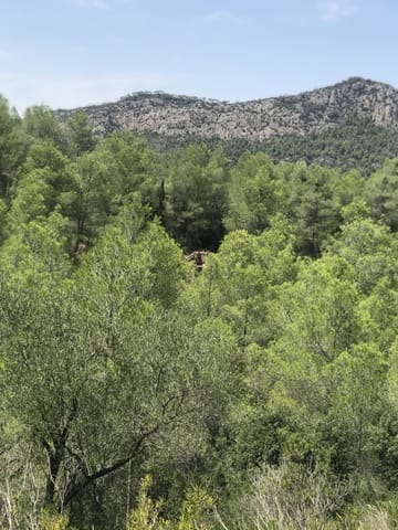 Finca/Herregård til salgs i Benifallet - € 20 000 (Ref: 9154705)