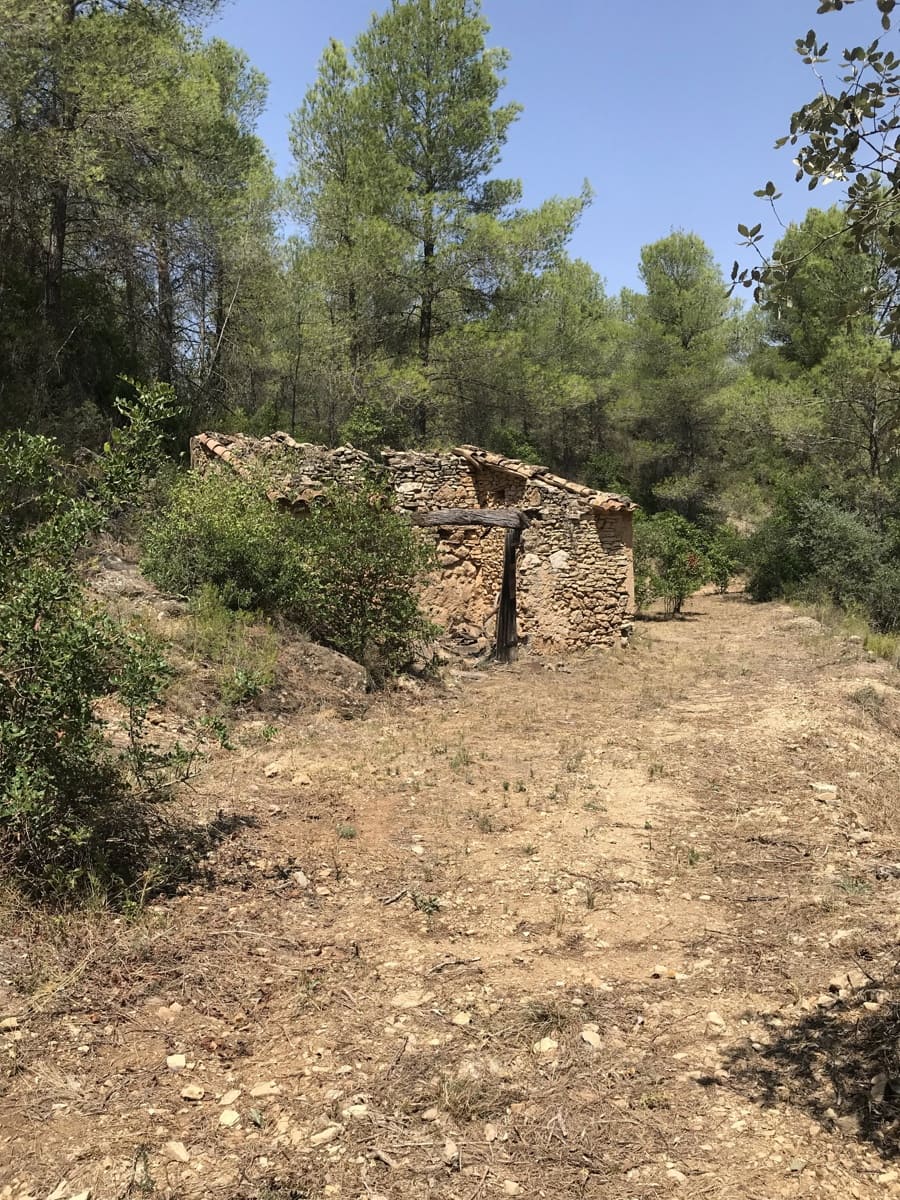 Finca/Casa Rural en Benifallet en venta - 20.000 € (Ref: 9154705)
