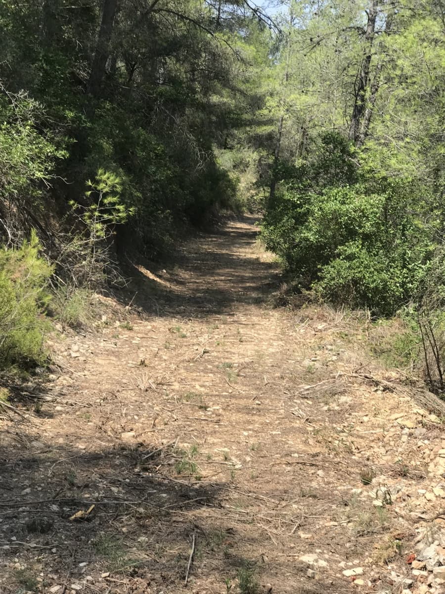 Finca/Casa Rural en Benifallet en venta - 20.000 € (Ref: 9154705)