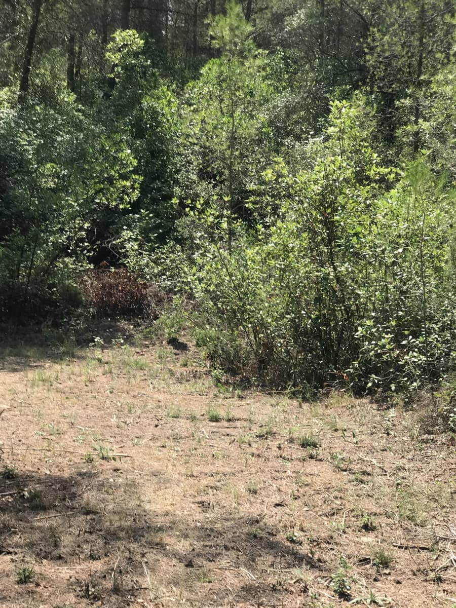 Finca/Casa Rural en Benifallet en venta - 20.000 € (Ref: 9154705)