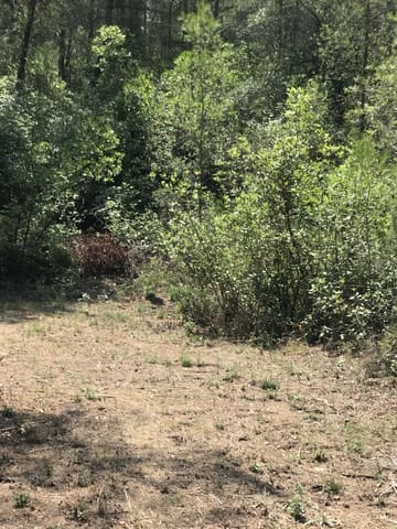 Finca/Herregård til salgs i Benifallet - € 20 000 (Ref: 9154705)