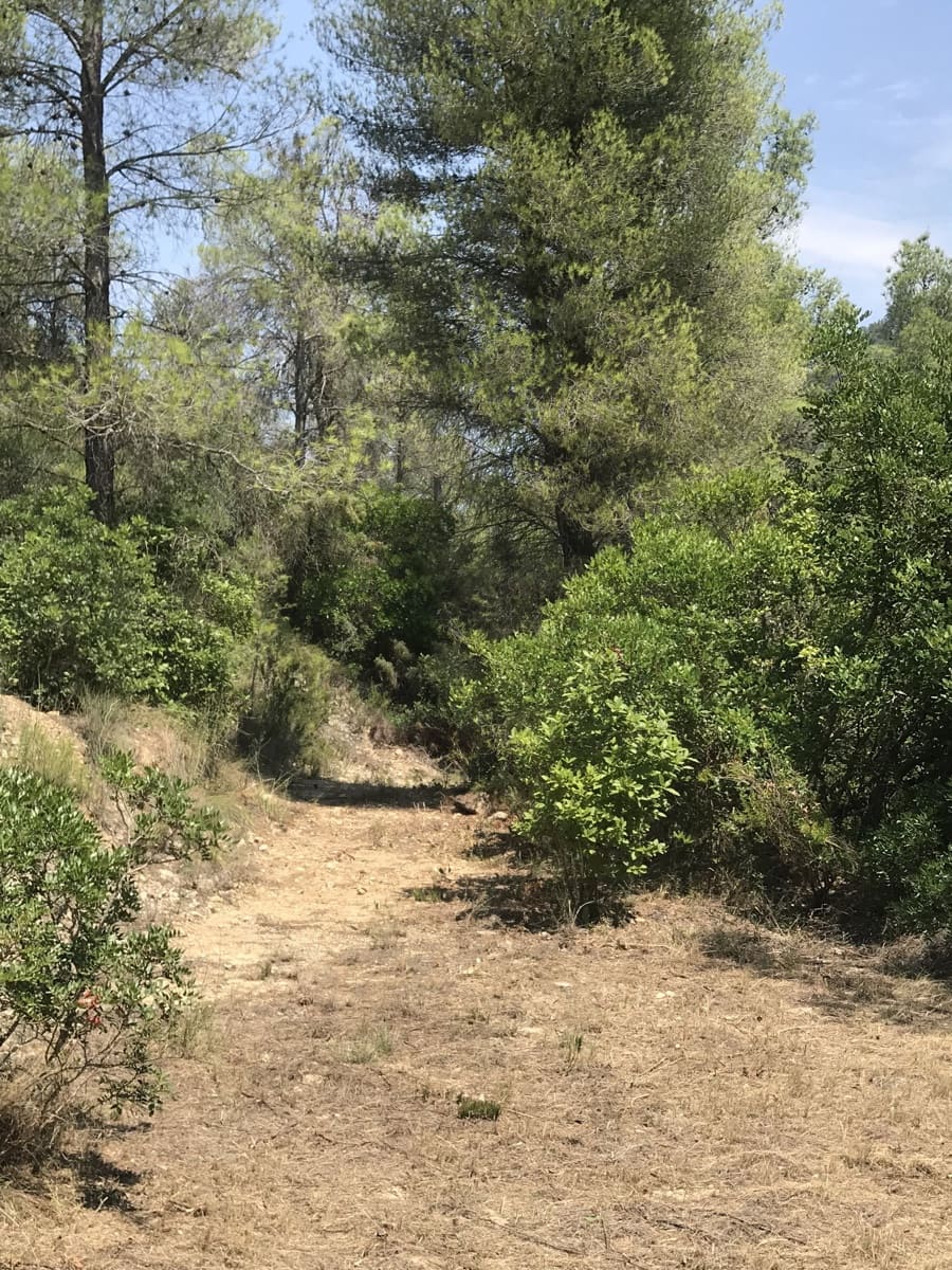 Finca/Casa Rural en Benifallet en venta - 20.000 € (Ref: 9154705)