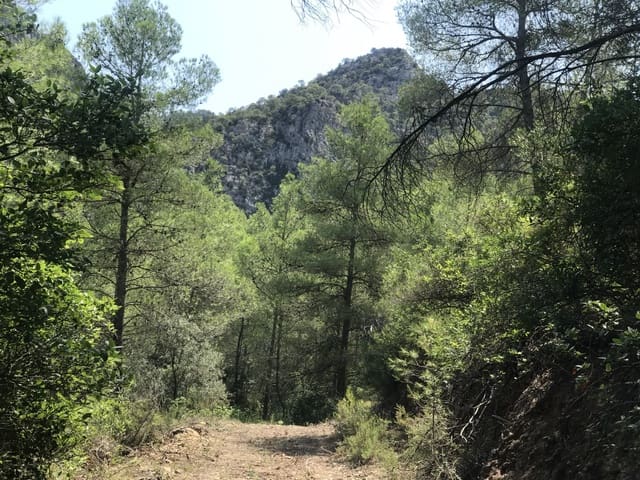 Finca/Herregård til salgs i Benifallet - € 20 000 (Ref: 9154705)