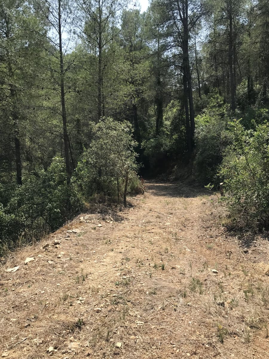 Finca/Casa Rural en Benifallet en venta - 20.000 € (Ref: 9154705)