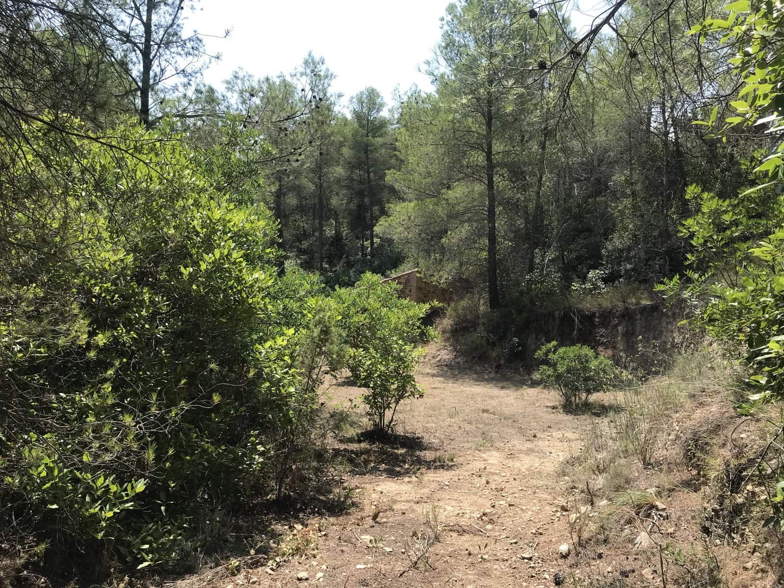 Finca/Casa Rural en Benifallet en venta - 20.000 € (Ref: 9154705)