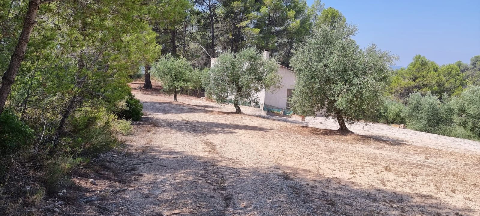 1 soveværelse Finca/Landehus til salg i El Masroig - € 49.000 (Ref: 9166600)