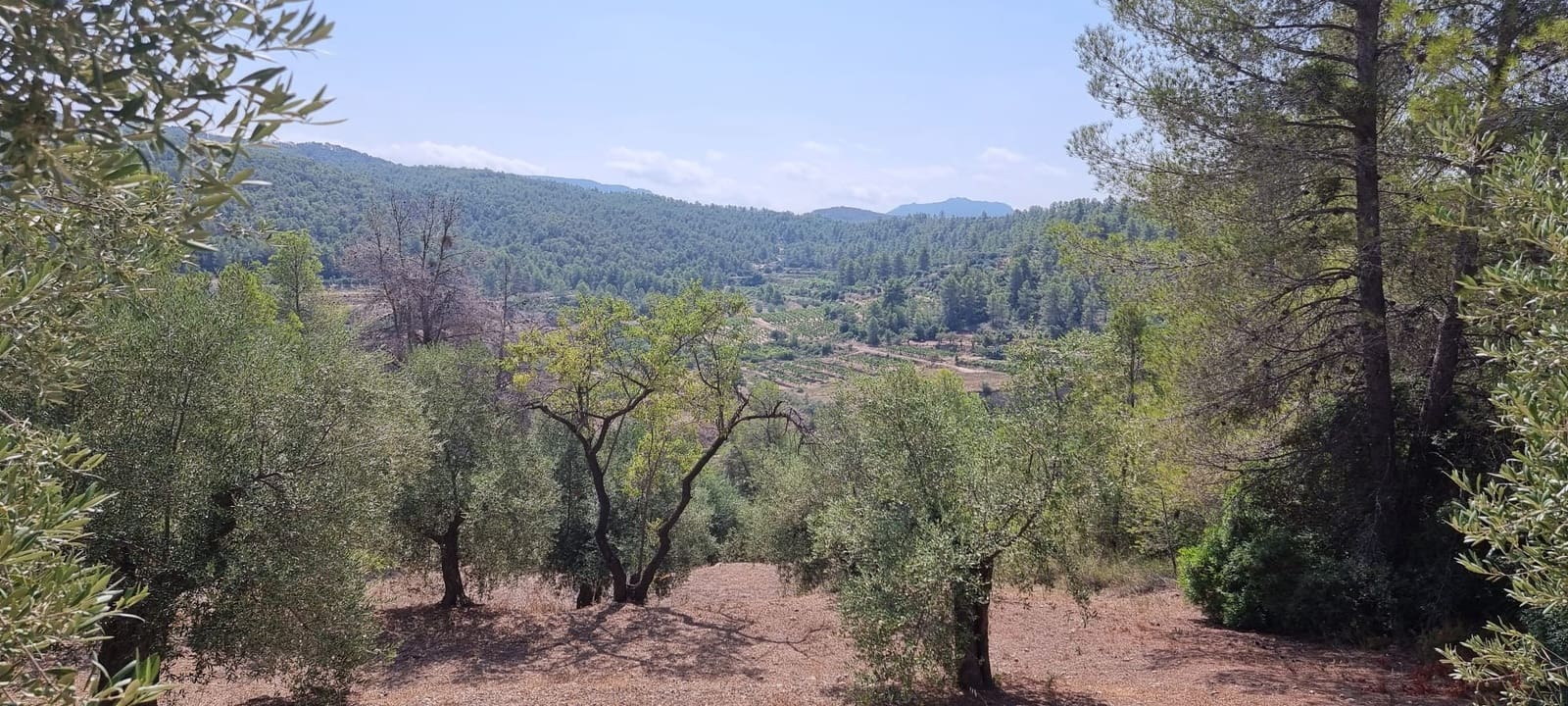 1 soveværelse Finca/Landehus til salg i El Masroig - € 49.000 (Ref: 9166600)