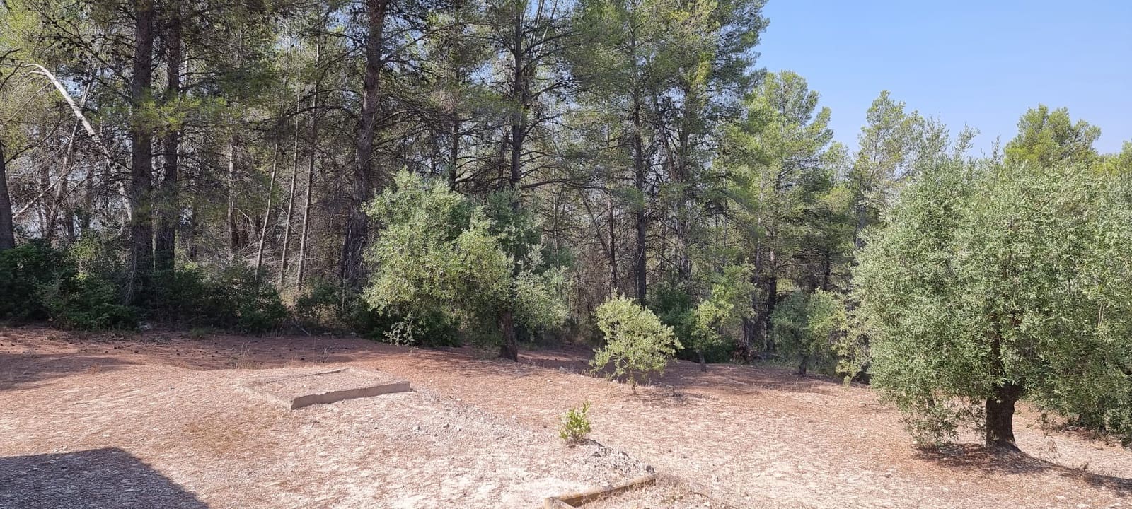 1 soveværelse Finca/Landehus til salg i El Masroig - € 49.000 (Ref: 9166600)