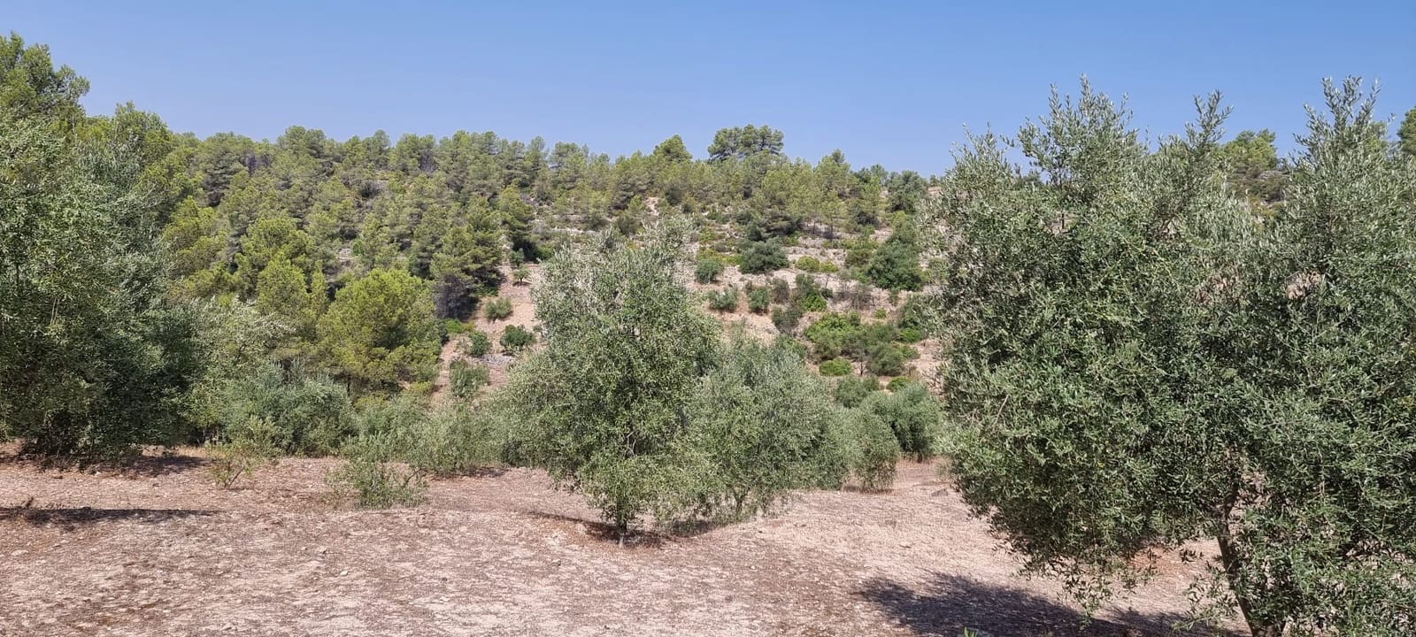 1 soveværelse Finca/Landehus til salg i El Masroig - € 49.000 (Ref: 9166600)