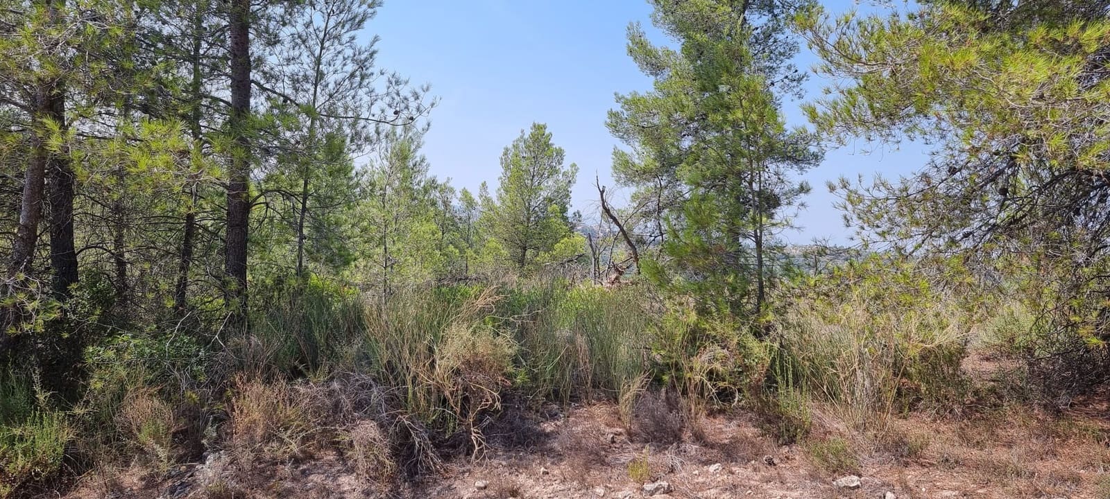 1 soveværelse Finca/Landehus til salg i El Masroig - € 49.000 (Ref: 9166600)