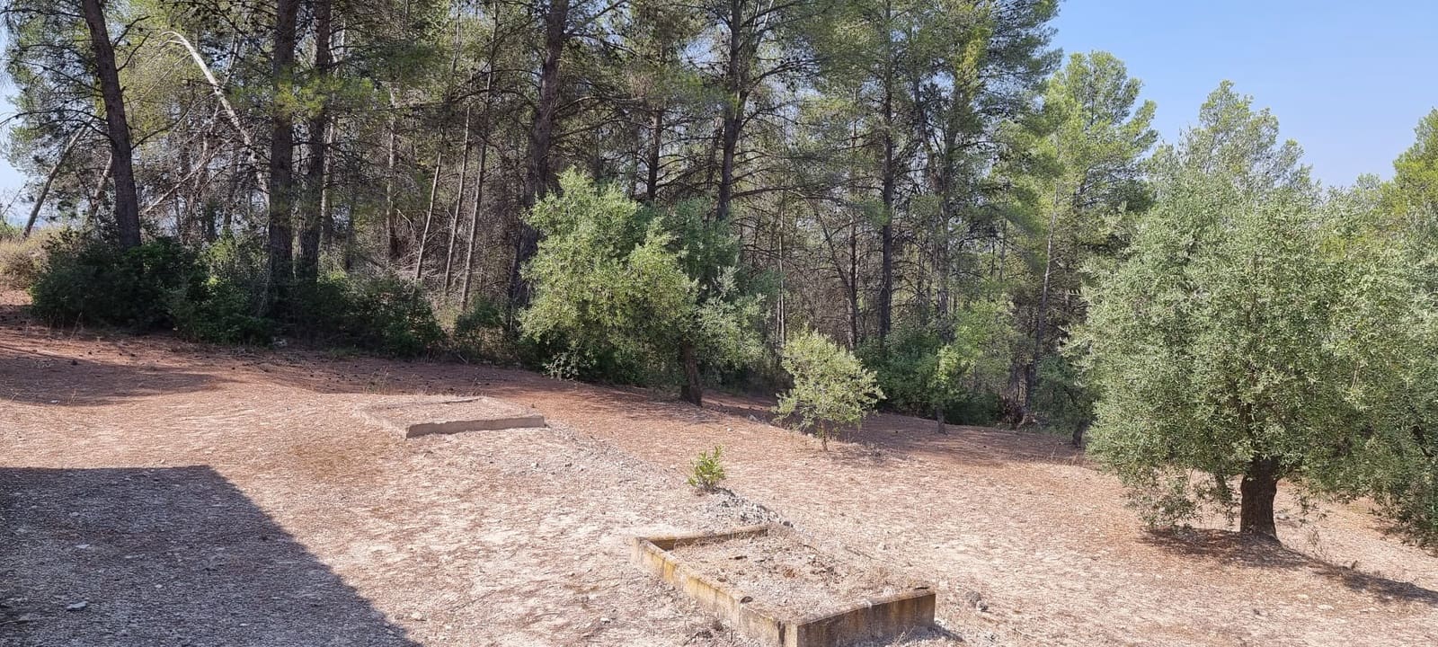 1 soveværelse Finca/Landehus til salg i El Masroig - € 49.000 (Ref: 9166600)