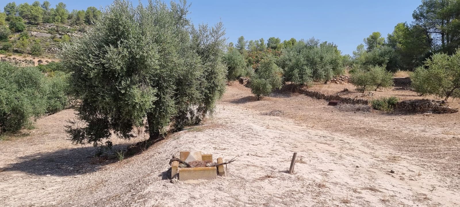 1 soveværelse Finca/Landehus til salg i El Masroig - € 49.000 (Ref: 9166600)