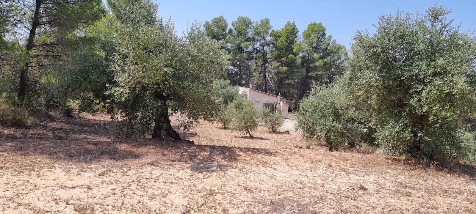 1 soveværelse Finca/Landehus til salg i El Masroig - € 49.000 (Ref: 9166600)