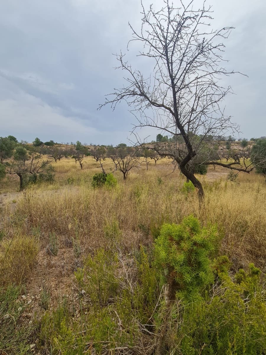 Finca/Landehus til salg i El Pinell de Brai - € 20.000 (Ref: 9216153)